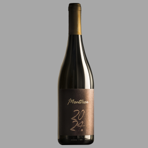 Montiron 2024 Puna