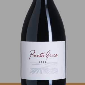 Punta Greca 2022 Hald