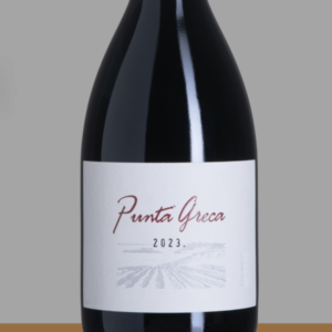 Punta Greca 2023 Hald 600x600