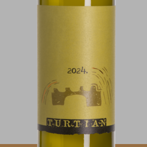 Byistria Turtian 2024 2 (1)